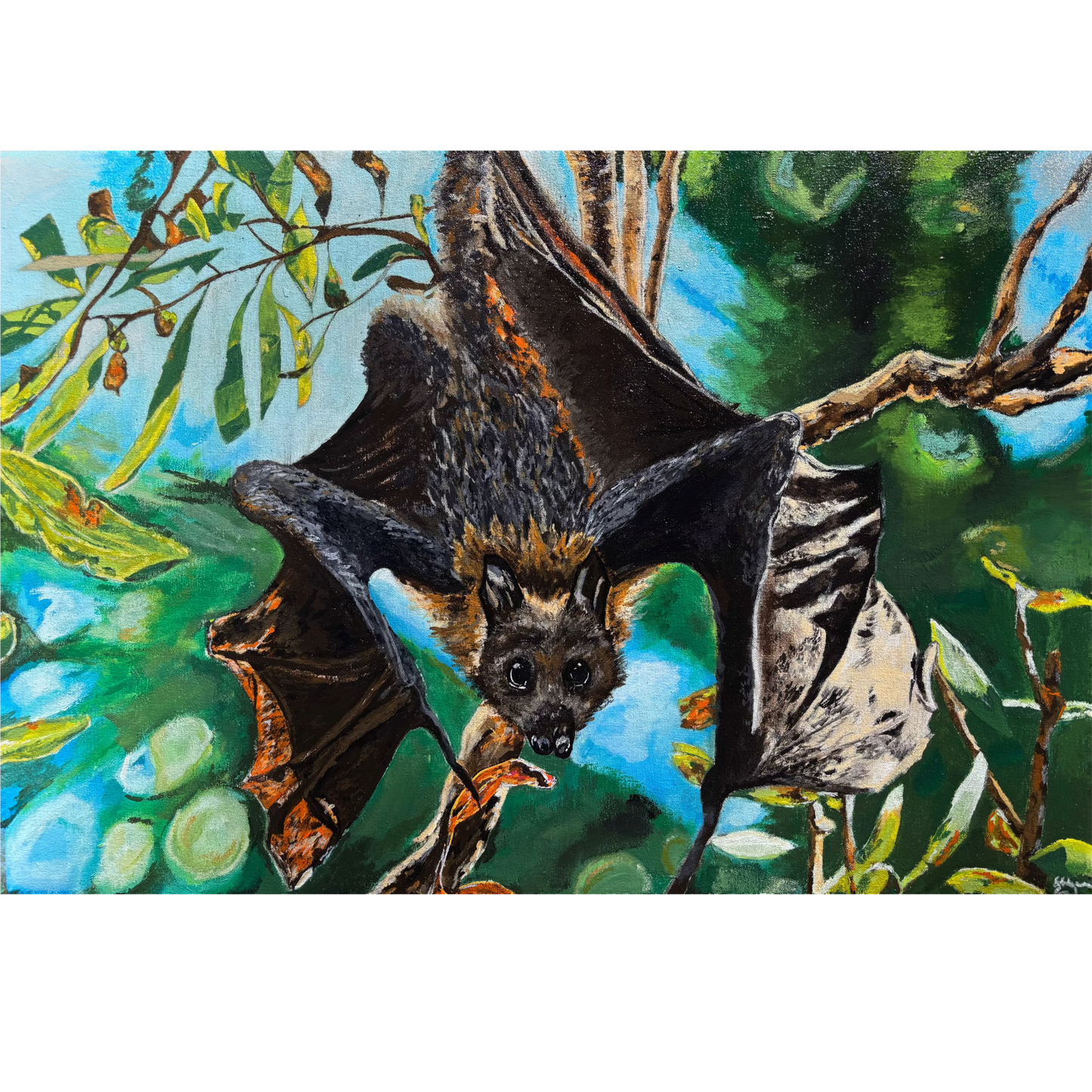 Hanging Fruit Bat