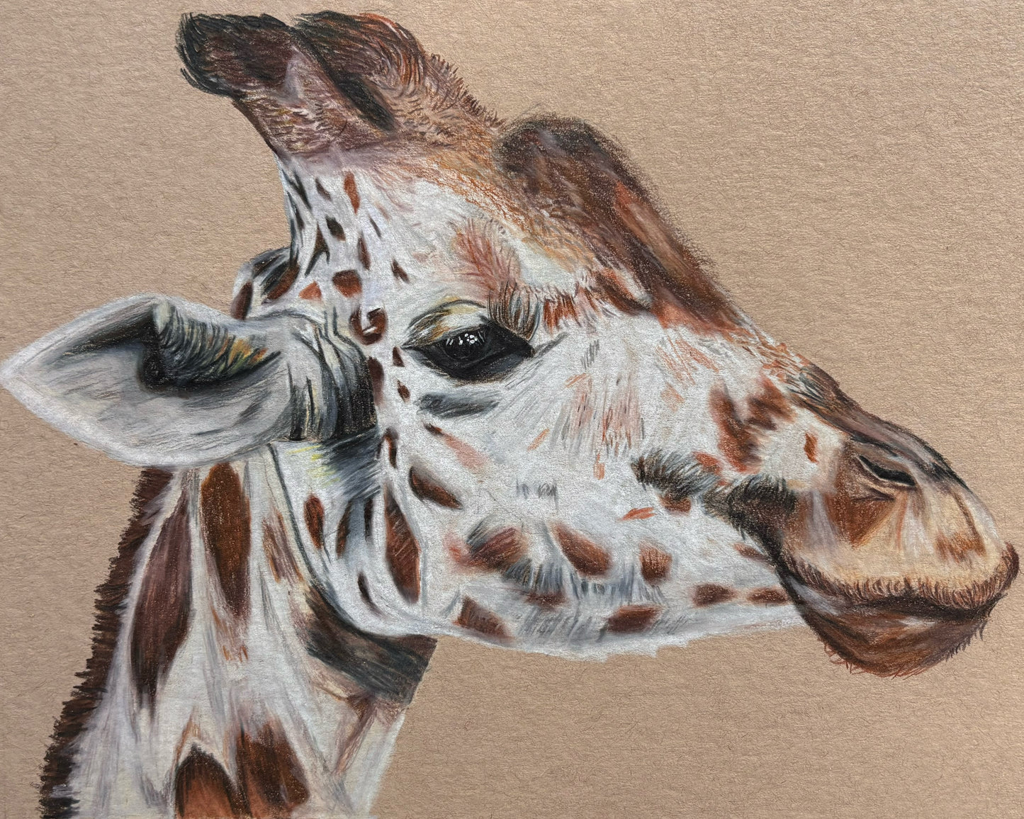 Giraffe