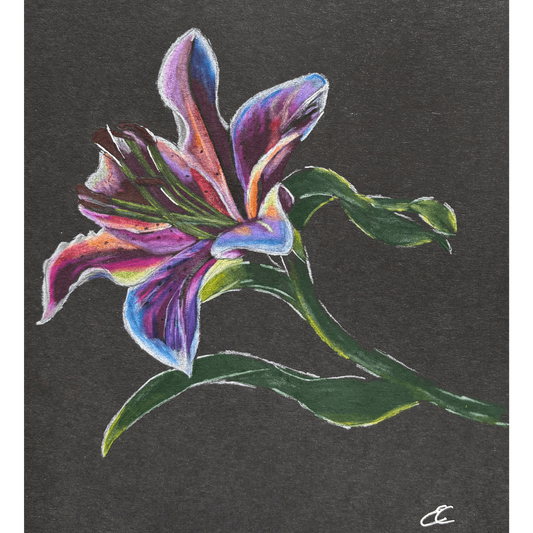 Rainbow Lily