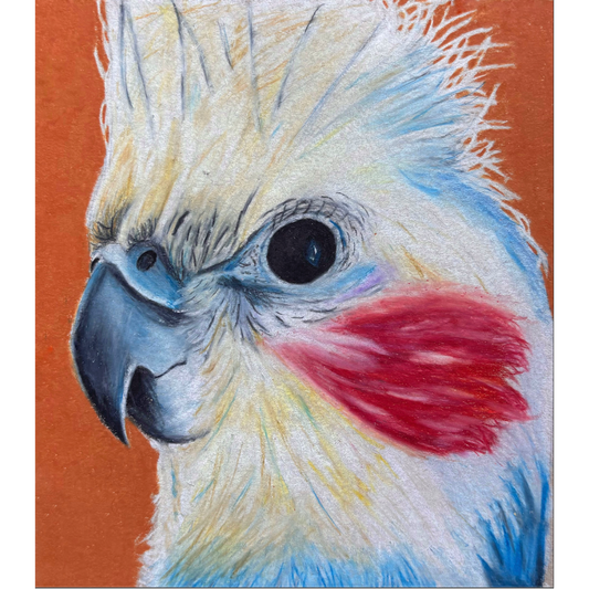 Cockatiel