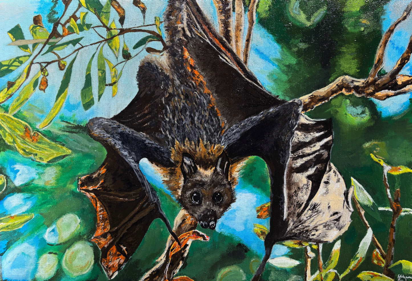 Hanging Fruit Bat
