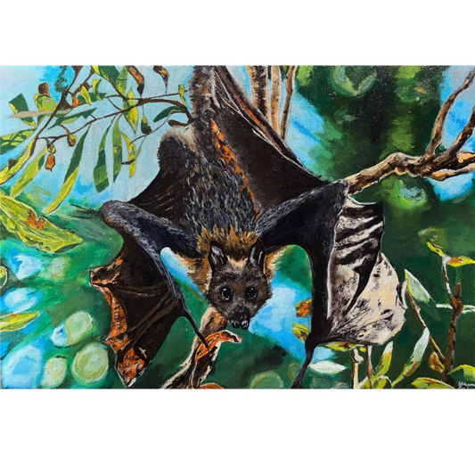 Hanging Fruit Bat