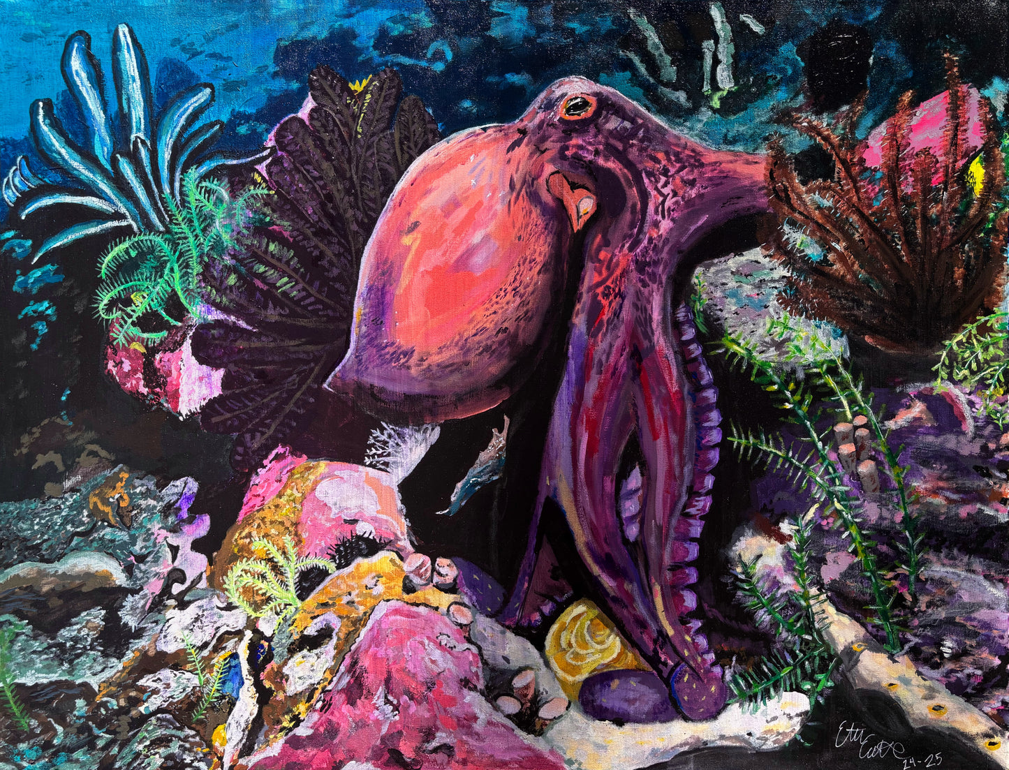 Octopus Reef