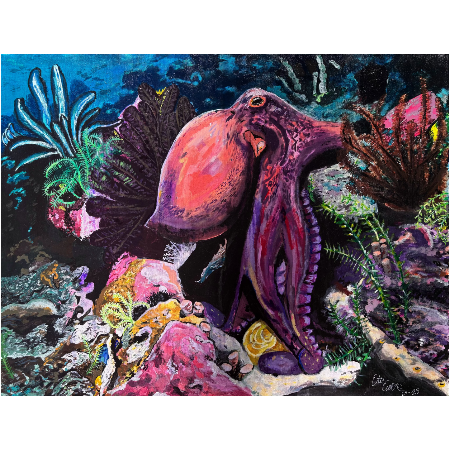 Octopus Reef