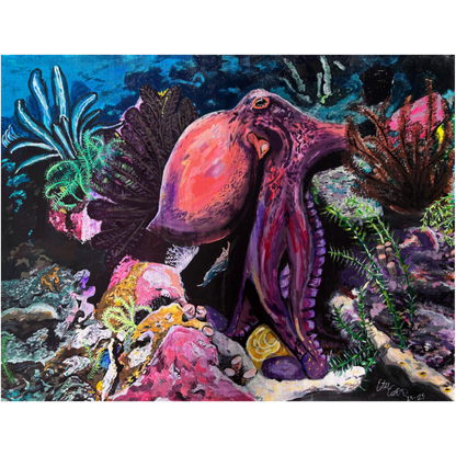 Octopus Reef