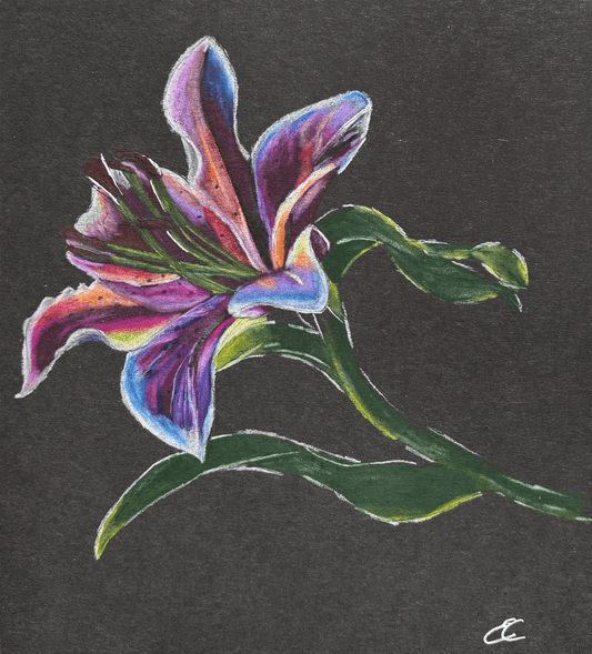 Rainbow Lily