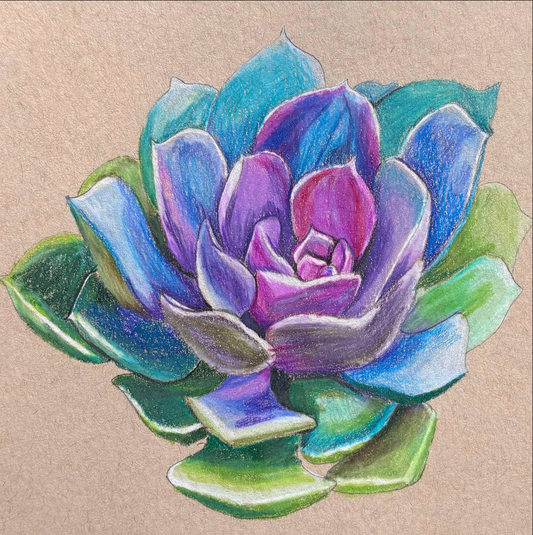 Small Succulent